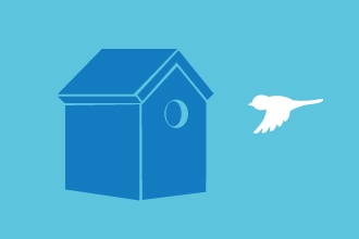 Bird box illustration 