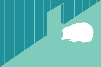 Hedgehog highway illustration