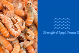 Strangford Lough Prawn Company Logo and a photo of scampi