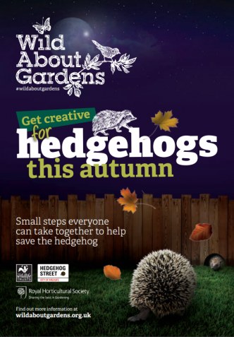 Hedgehog booklet cover 