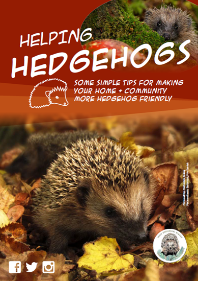 Helping hedgehogs leaflet - cover image