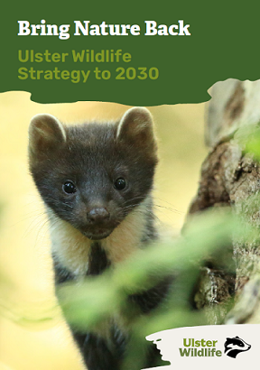 Bring Nature Back - Ulster Wildlife Strategy to 2030