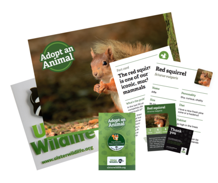 Adopt a Red Squirrel pack