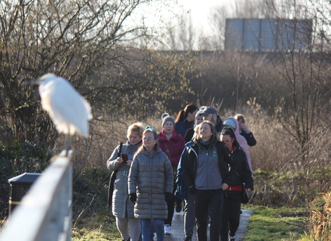 Well-being walk at Bog Meadows Nature Reserve 