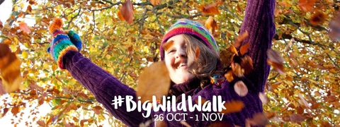 Big Wild Walk