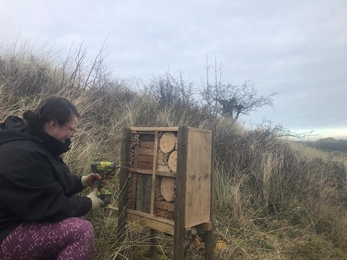 Bee box. Umbra Nature Reserve