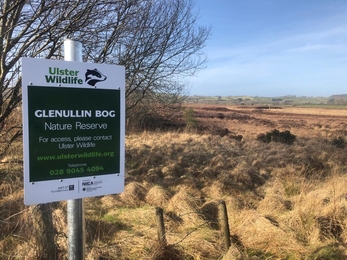 Signage at Glenullin bog