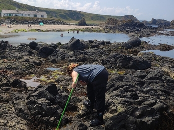 ShoreNI survey at Ballintoy