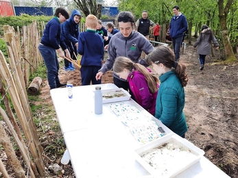 Outdoor classroom, Bog Meadows