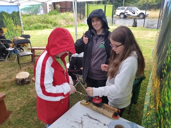 Bog Meadows Summer Scheme