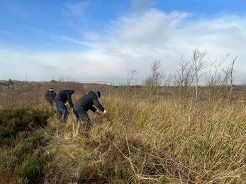 Ballynahone bog