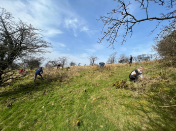 Corporate volunteering at Slievenacloy (c) Ronald Surgenor