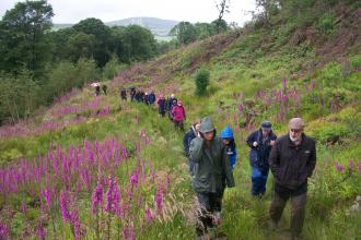 Cottage Farm walking event