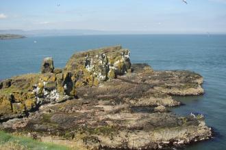 Isle of Muck - North End