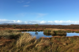 Curran Bog