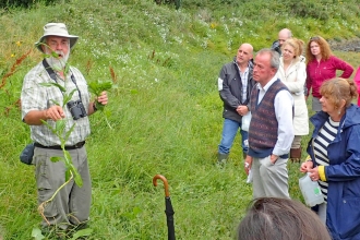 Coastal Foraging Dundrum 2016