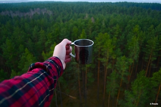 Tea in the forest (c) Pexels 