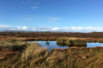 Curran Bog, near Bellaghy - a raised bog being targeted through CANN