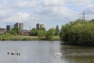 Bog Meadows Nature Reserve