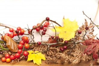 Autumn wreath