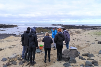 Portballintrae Intertidal survey