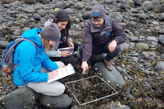 Shore Surveys