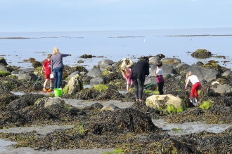 Rockpool ramble