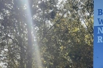 Balloo Wetland Nature Reserve
