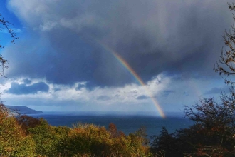 Straidkilly Nature Reserve in Autumn