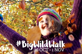 Big Wild Walk