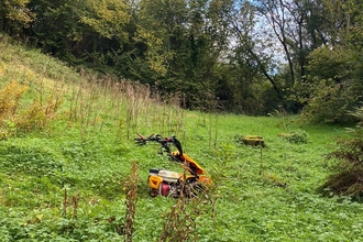 Woodland glade clearance at Straidkilly