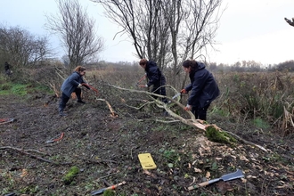 Bog Meadows, hedgelaying training