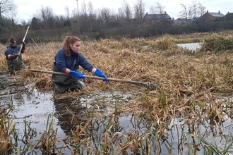 Volunteers at Balloo Wetland