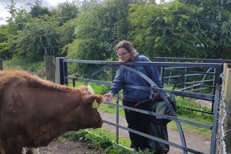 Monica with cow at Bog Meadows