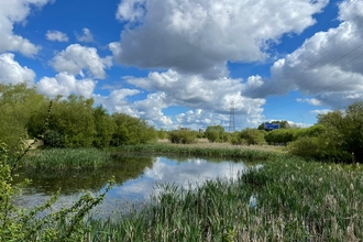 Bog Meadows (c) Dawn Miskelly