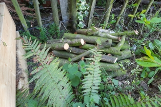 Montgomery Log Pile - V Allister Blog