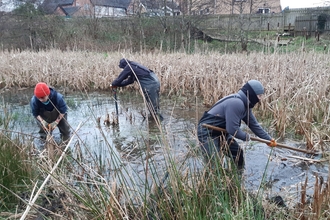 Balloo Wetland