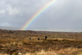 Ballynahone bog