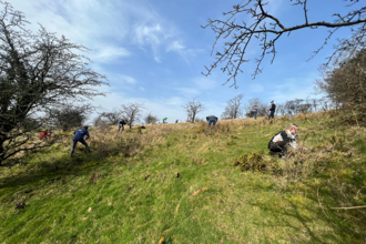 Corporate volunteering at Slievenacloy (c) Ronald Surgenor