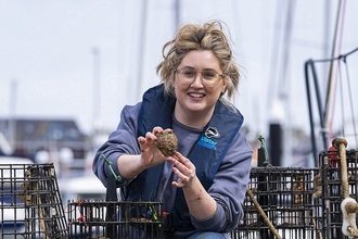 Native oyster nursery