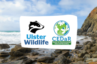 Ulster Wildlife and CEDaR logos in front of a rocky shore photo