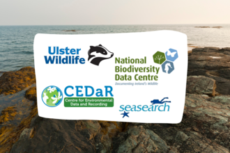Logo's for Ulster Wildlife, CEDaR, National Biodiversity Data Centre and Seasearch