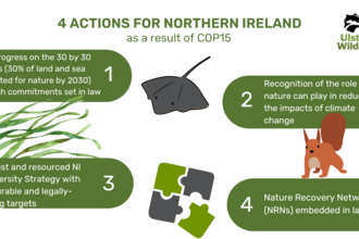 Actions we want to see In NI from COP15