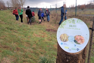 New tree trail at Orangefield Park 