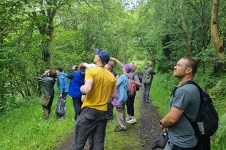 Ulster Wildlife member's look up and point to trees during an outdoor walk