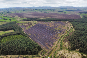 Haughey's Bog (foreground) with Black Bog SAC behind