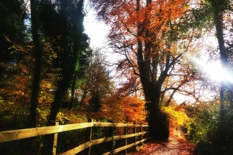 Edenderry in autumn