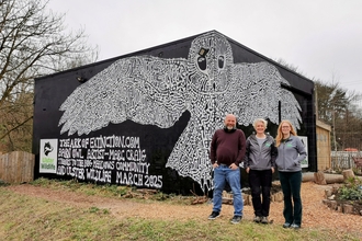 Barn owl mural 2 