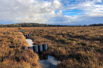 Installed plastic piling dams at Fairy Water Bogs