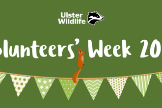 Volunteers Week 2025